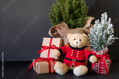фотографія Teddy bear and traditional Christmas plants-picea glauca Conica tree, Chamaecyparis lawsoniana Ellwoodii cypress tree, gifts on the black background-New Year greeting card concept