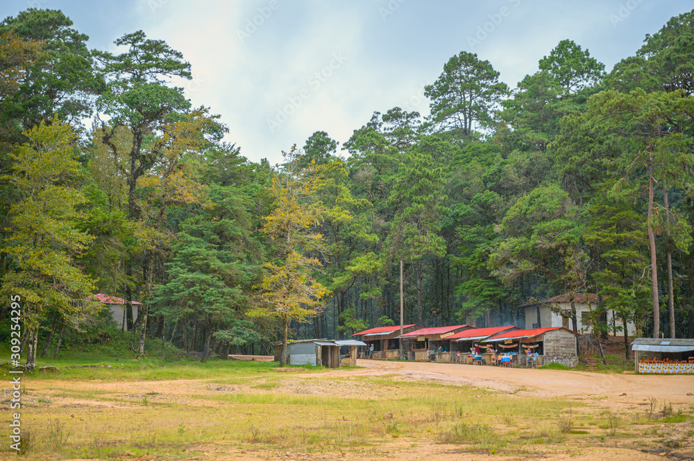 Small cabins in the middle of the forest on a cloudy day Small cabins in the middle of the forest on a cloudy day