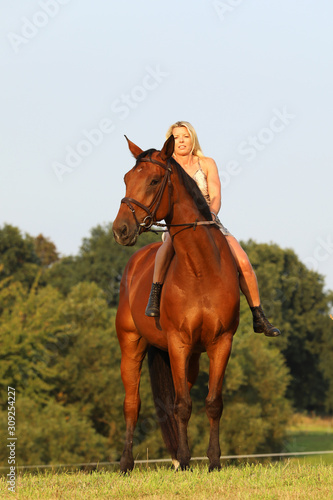 Young lady riding horse without saddle on meadow