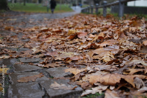Weg im Herbst