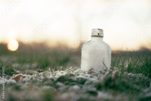 Schnapsflasche steht allein auf einer Wiese an einem Wintermorgen