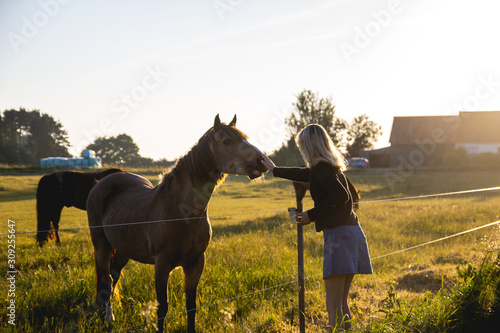 Girl and horses in a field