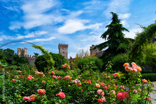 Rose garden and medieval fortifications in the ancient city of Este