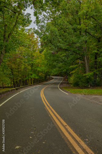 Road in forest. Tennessee. USA