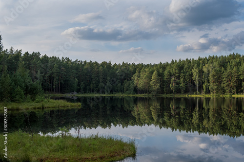 forest reflection in calm water of dystrophic lake