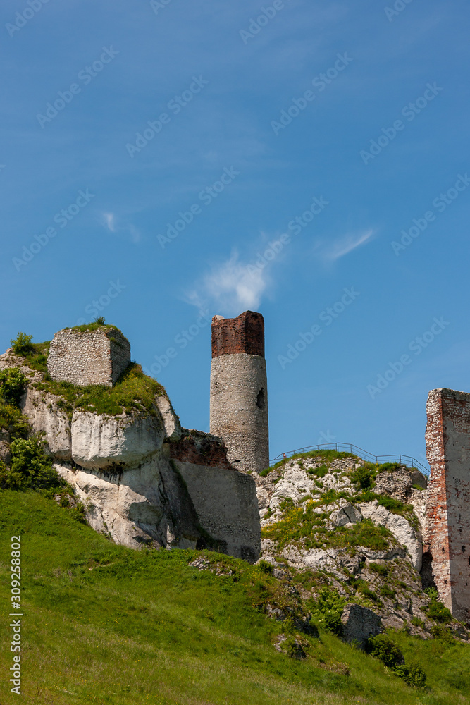 Medieval castle in the Cracov-Częstochowa Jurassic Upland