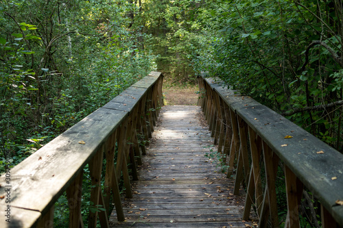 small wooden bridge inside of a forest