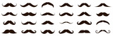 Different mustache collection. Vector illustration