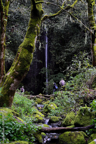 Hikers exploring a forest with a waterfall on the island of Gran Canaria