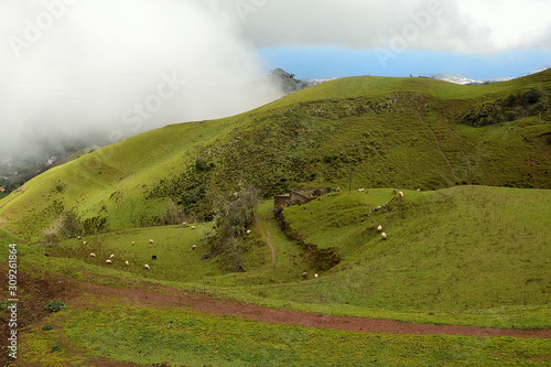 Landscape of a mountain road surrounded by grass and the sea in the background