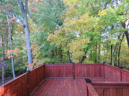 View of forest in backyard from upper deck in redwood stain
