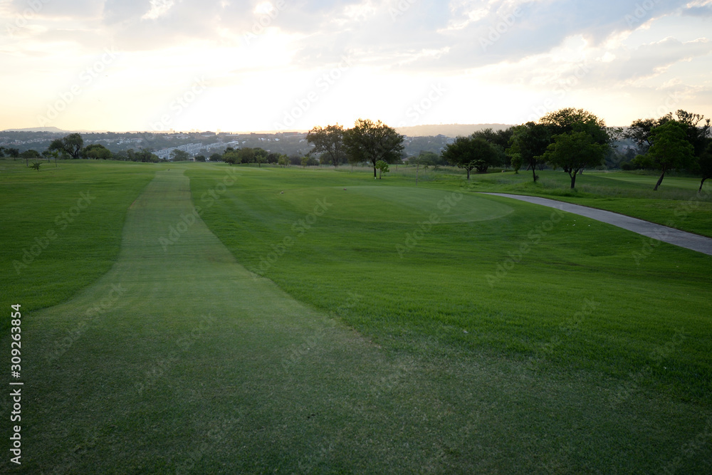 The greens on a Johannesburg golf course