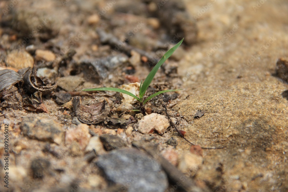 life in dry ground