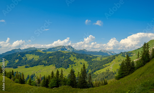 Summer time countryside panoramic landscape in Switzerland © Anton Gvozdikov