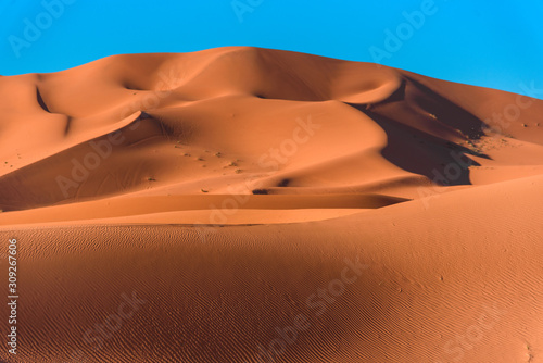 Sand dunes in the Sahara Desert  Merzouga