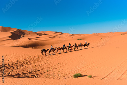 Caravan walking in Merzouga Sahara desert on Morocco