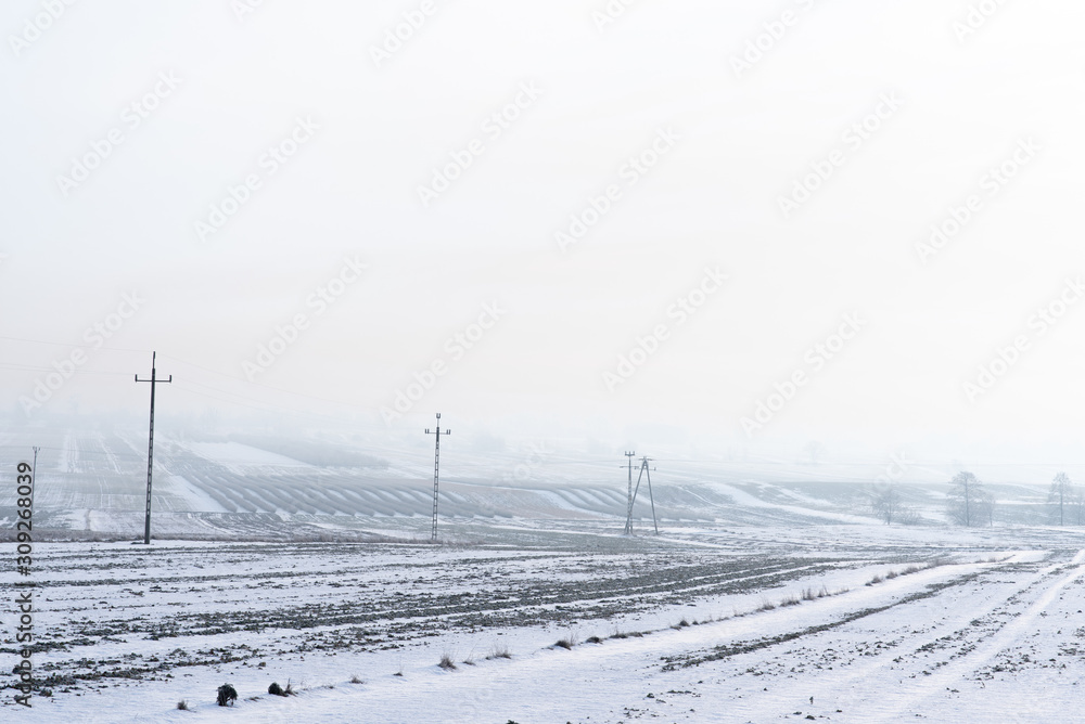 Misterious winter rural landscape, fields covered with snow shrouded in morning mist, voltage lines and trees