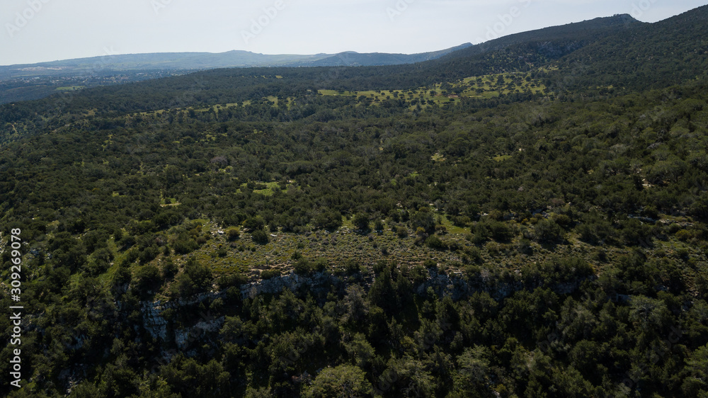 Wooded foothills with pine trees and bushes. Shot on a drone. View from above.