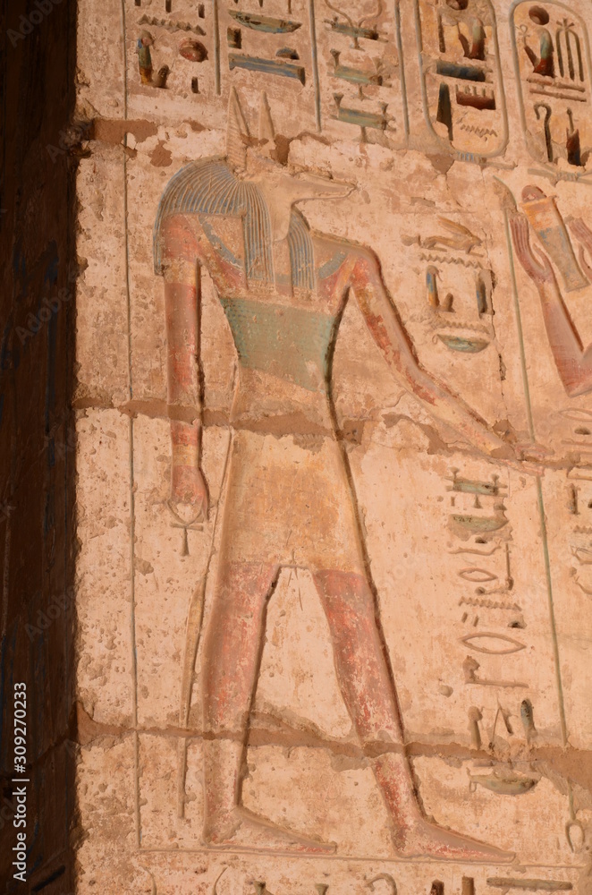 DIEU ANUBIS HIÉROGLYPHES TEMPLE DE TOUTHMOSIS III TEMPLE DE KARNAK LOUXOR EGYPTE