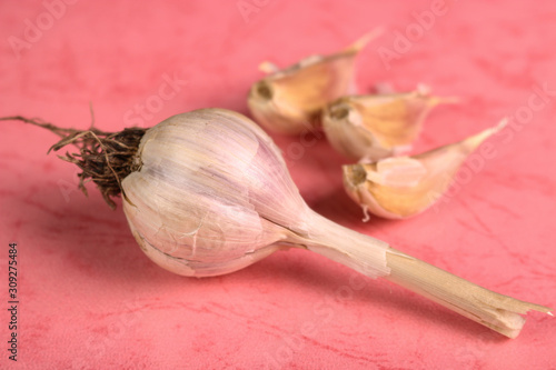 Garlic cloves and bulb on pink background photo