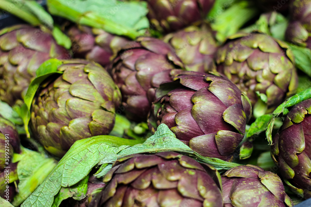 Fototapeta premium group of fresh Roman artichokes