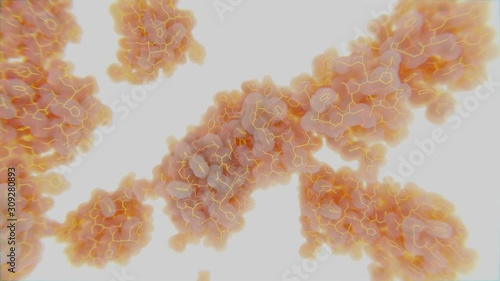 Insulin molecules in Brownian motion