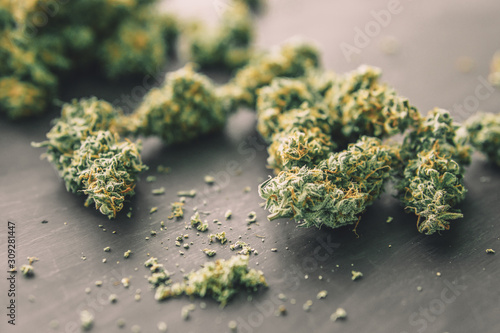 bud with trichomes Macro of marijuana