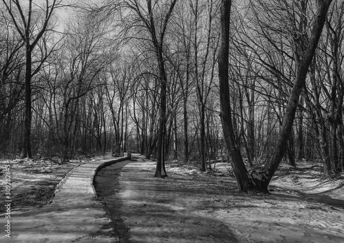 Maizerets park in Quebec city photo