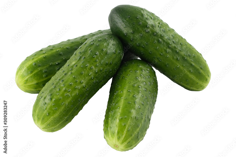 Green isolated cucumbers on a white background close-up Green isolated cucumbers on a white background close-up