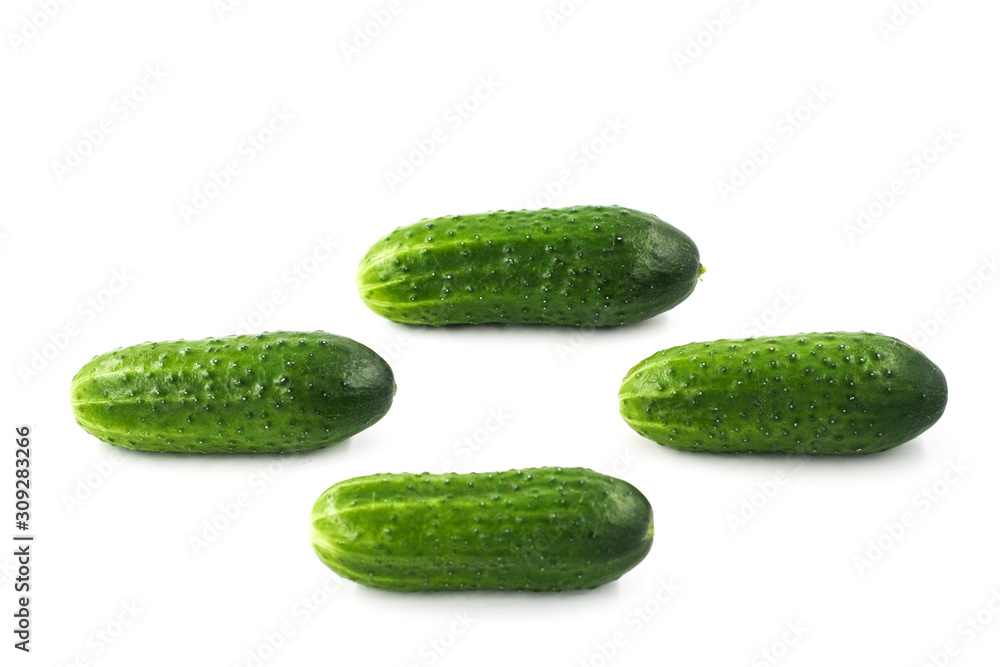 Green isolated cucumbers on a white background close-up Green isolated cucumbers on a white background close-up