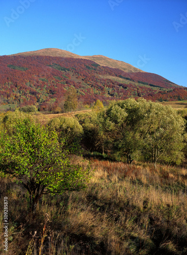view to Polonina Carynska Mountain, Bieszczady Mountains, Carpathian Mountains, Poland