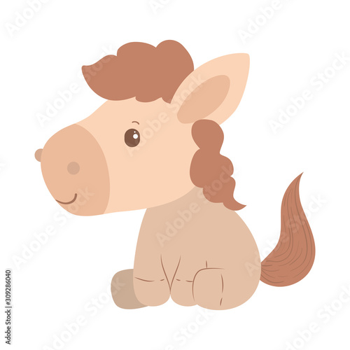 Isolated cute horse cartoon vector design