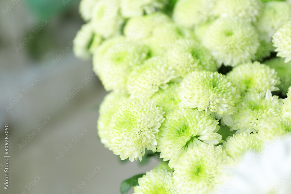 Bouquet of beautiful flowers in shop, closeup Bouquet of beautiful flowers in shop, closeup