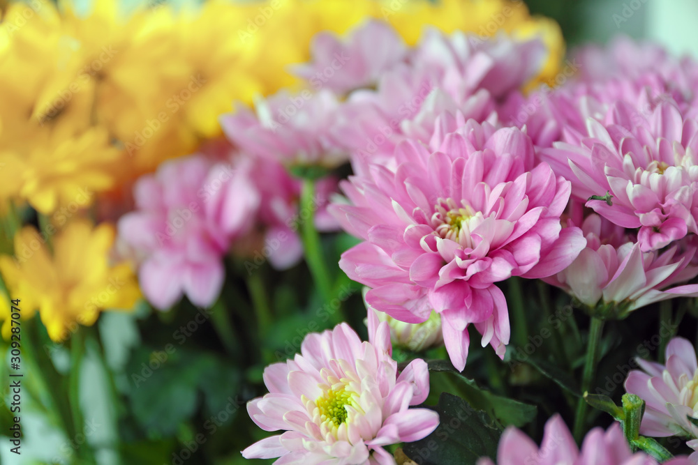 Bouquet of beautiful flowers in shop, closeup Bouquet of beautiful flowers in shop, closeup
