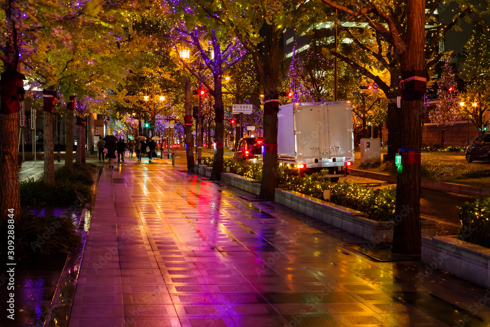Fototapeta premium 大阪の夜景・雨の御堂筋
