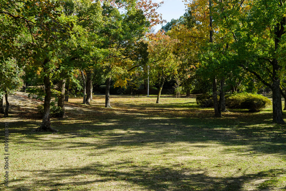 Obraz premium 大阪豊中・千里中央公園