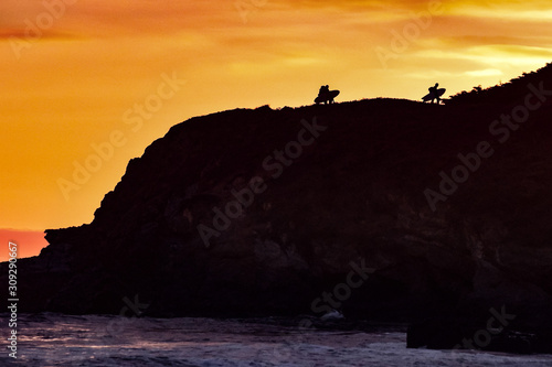 sunset beach surfer silhouette coast