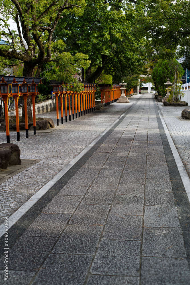 Fototapeta premium 朱塗りの灯篭の続く参道