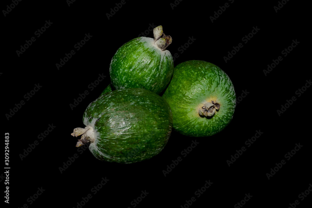 Acca sellowiana or feijoa isolated on black background. Acca sellowiana or feijoa isolated on black background.