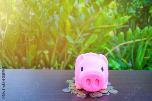 Wallpaper Mural Piggy bank and coins on table and tree background. Torontodigital.ca