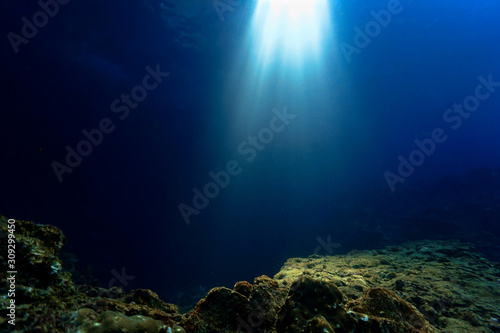 Cathedrals of light underwater