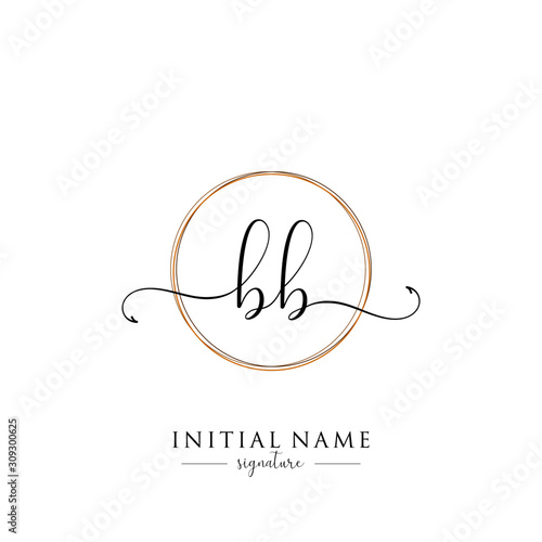 Initial Letter BB Signature Handwriting and Elegant Logo Design Vector