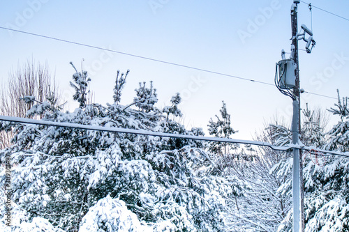 Snow covered trees and powerlines after a snowstorm