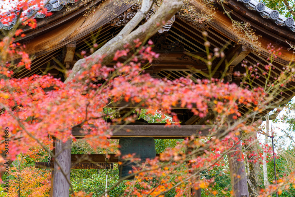 紅葉するモミジと寺の鐘