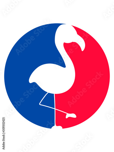 Buntes Flamingo Logo hals clipart