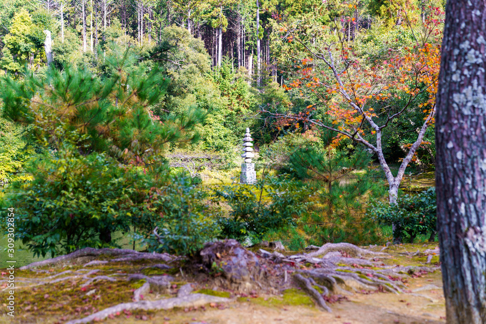 紅葉するモミジと石塔