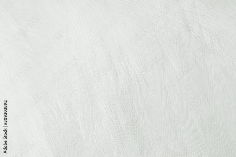Beautiful line white feather wool pattern texture background Beautiful line white feather wool pattern texture background