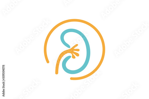 kidney care logo icon vector isolated