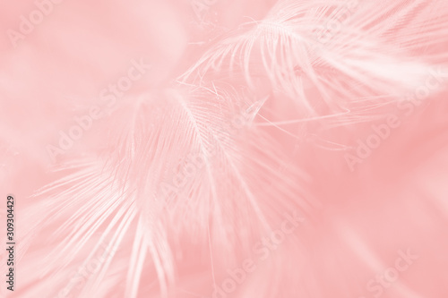 Beautiful soft pink feather pattern texture background