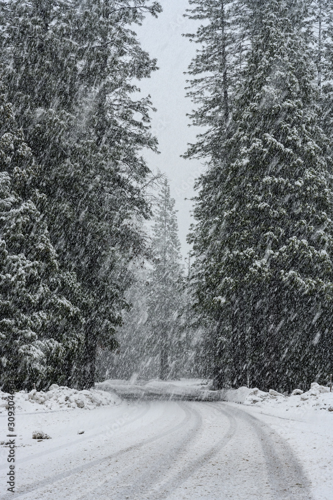Obraz premium Driving Snow Covers Roadway